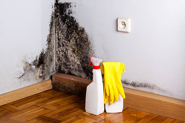 Best Crawl Space Mold Removal  in West Milwaukee, WI